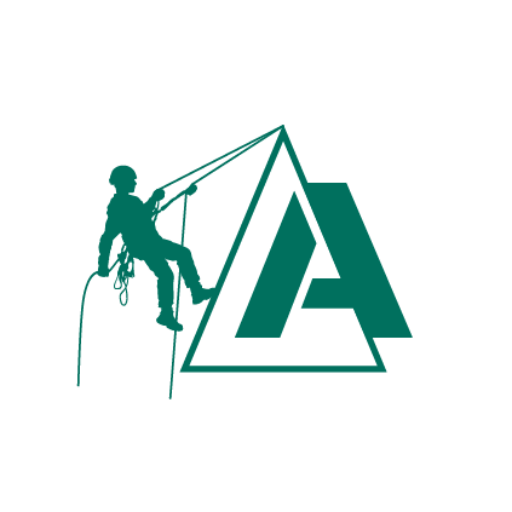 andes logo icon positive